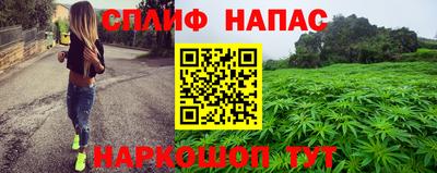 дурь Камышлов
