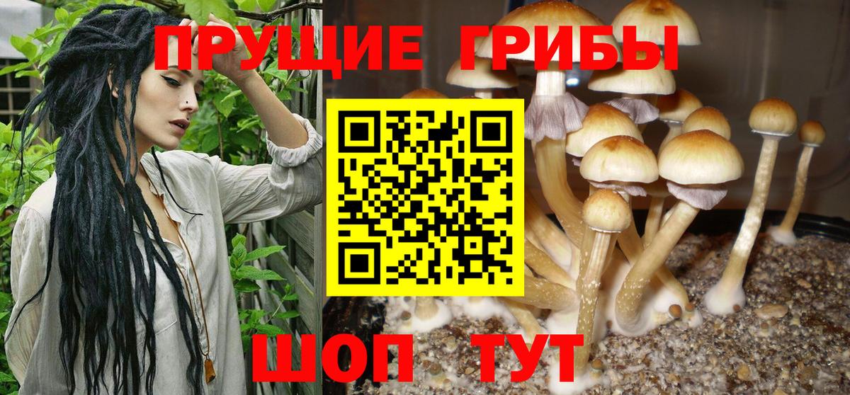 Галлюциногенные грибы мухоморы  Вход с VPN  Дубна 